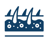 Lightweight & Quick Absorption